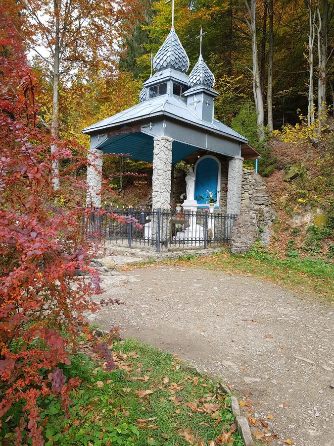 Hotel Dayarta Skhidnytsia Exterior foto